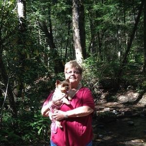 Meet your Posher, Jan